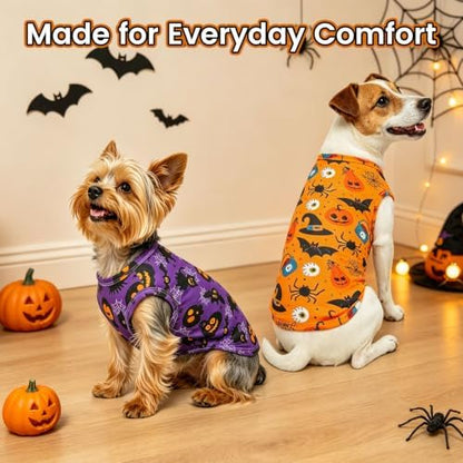 BINGPET 2PCS Dog Halloween Costume, Soft Cotton Puppy Shirt, Bat & Pumpkin