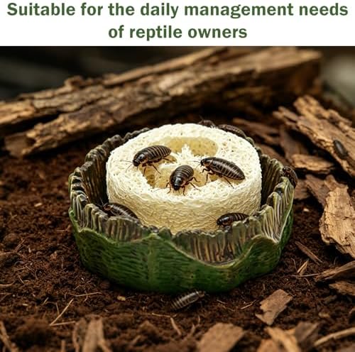 Cockroach Water Basin & 3 Loofah Set, Dubia Roaches Live Habitat Reptile Container Supplies for Terrariums & Enclosures, Comfortable Habitat for Roaches Live, Isopods, Springtails, Crickets