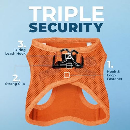 Best Pet Supplies Voyager Step-in Air All Weather Mesh Harness and Reflective Dog 5ft Leash Combo with Neoprene Handle, for Small, Medium and Large Breed Puppies - Orange, X-Small