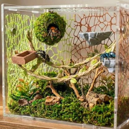 Jumping Spider Enclosure Accessories Kit - Magnetic Moss Ball Hideout, 2 Rock Ledges, Feeding Bowl, Climbing Mesh Nets & Rope Ladder - Natural Forest Habitat Decor for Regal (Moss Cave)