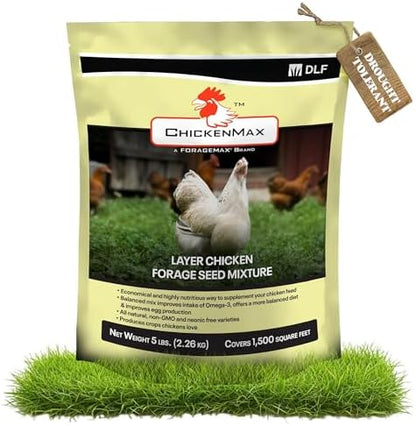 DLF Chicken Max – Forage Seed Mixture for Chickens, Poultry, and Farms – Layer Mix with Clover, Ryegrass, Buckwheat, and Flax – High-Protein Feed for Laying Hens, Chicks, and Coops – 5LB Bag