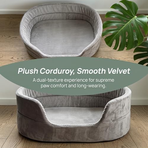 Small Dog Bed Cat Bed 16x20 Inch, Calming Pet Bed for Dogs & Cats, Machine Washable Dog Bed, Half-Enclosed Open-Top Velvet Anti-Anxiety Bed, Cozy Snuggle Bed (Grey)