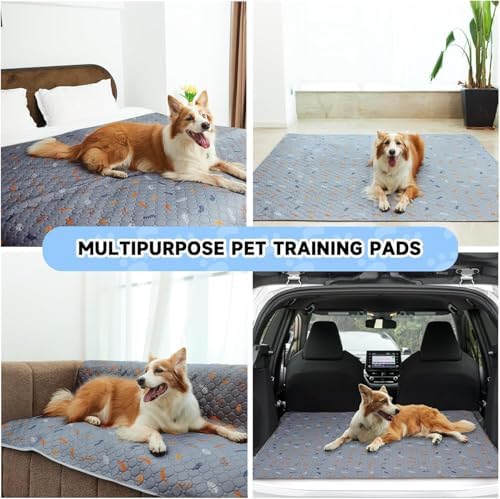 Sunheir Washable Pee Pads for Dogs Large 24" x 72" 2-Pack Reusable Puppy Pads Pet Training Pads, Absorb Dog Mats, Whelping Pad, Non-Slip Protects Against Urine Leakage,Runner Rug (Leaves - Light Grey)