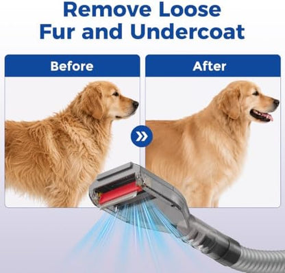 Dog Hair Grooming Brush Vacuum Attachment for 1" to 1-3/4" Various Size Vacuum Cleaners, Pet Shedding Tool with Extension Hose, Adapter and Storage Bag