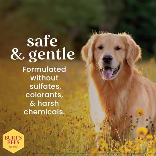 Burt's Bees for Pets Deodorizing Dog Shampoo, Apple & Rosemary, 16 Fl Oz