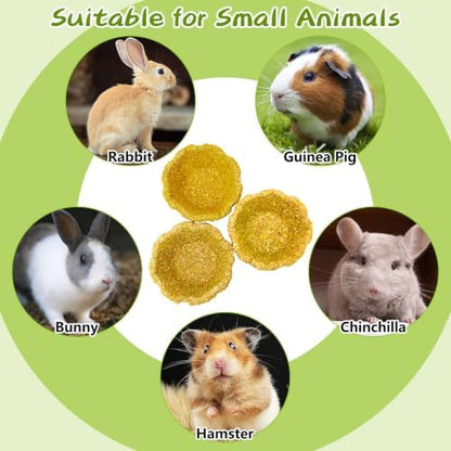 6 Pack Rabbit Chew Toys for Teeth Natural Guinea Pig Toys