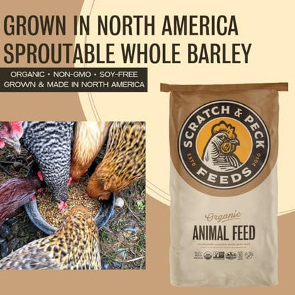 Scratch and Peck Feeds | Barley | Poultry & Livestock Grain | 40 lb Bag