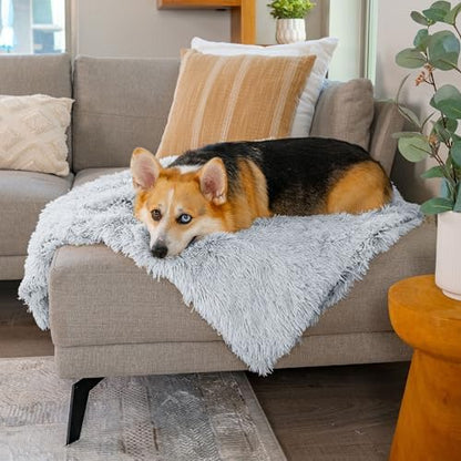 Best Friends by Sheri Dog Blanket, Shag Faux Fur, Frost Gray, 30" x 40"