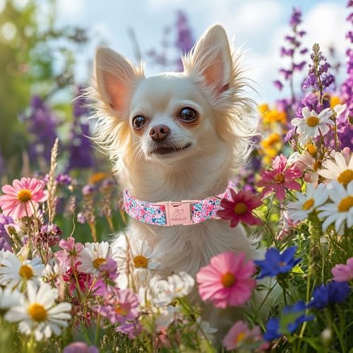 Floral Dog Collar, Cute Spring Summer Girl Dog Collars - Soft Adjustable Everyday Collars for Small Medium Large Dogs, Rustic Wildflowers Female Dogs Collar L