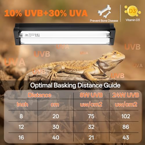 T5 10.0 UVB Reptile Light Fixture Combo Kit 8W 12'', with UV Sensor Card