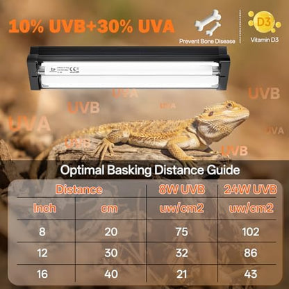 T5 10.0 UVB Reptile Light Fixture Combo Kit 8W 12'', with UV Sensor Card