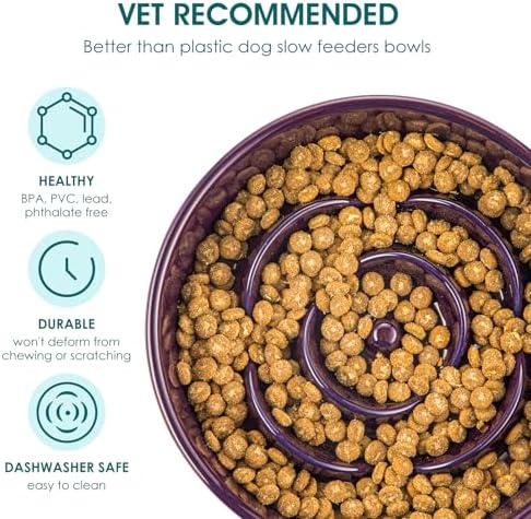 vancasso Slow Feeder Dog Bowl, 0.6 Cups Ceramic Small Puzzle Dog Food Dish