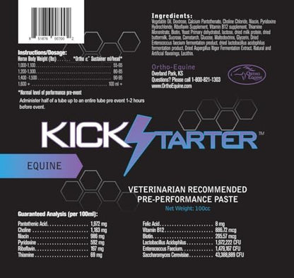 Kick Starter B-Vitamin Pre-Performance Paste, Horses, 100ml