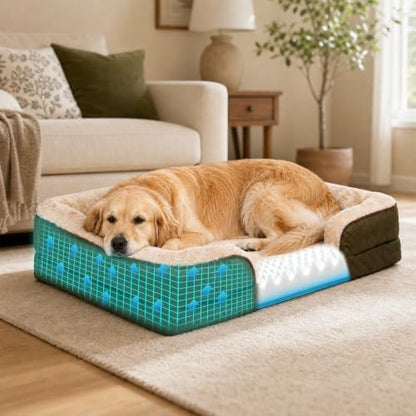 Orthopedic Memory Foam Dog Bed with Reusable Potty Pad