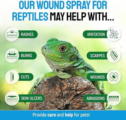 SILVER GRADE Reptile Antibiotics Mouth Rot Spray for Snakes & Lizards
