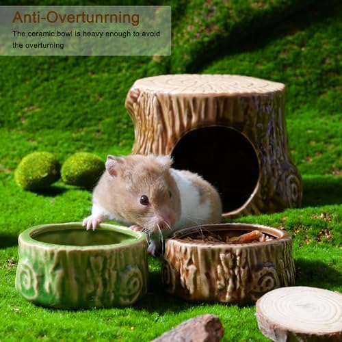 2 Pack Ceramic Hamster Food Bowl Anti-Tip Chew-Proof Water Dish