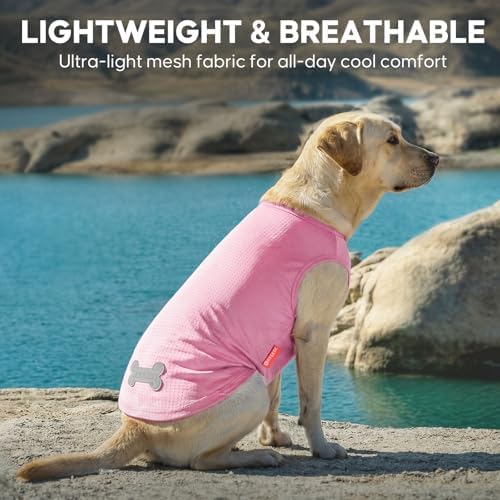 KYEESE 2Pack Dog Shirts for Medium Large Dogs Breathable Mesh Tank Top