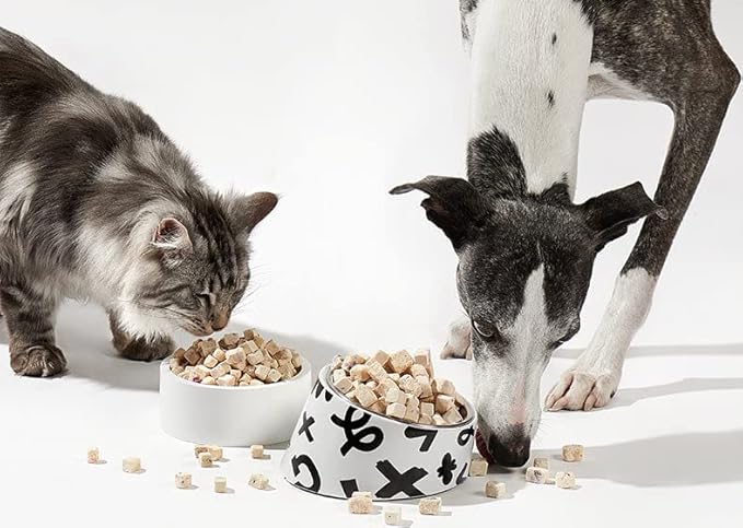 Arya Sit! - Freeze-Dried Single Ingredient Dog Treats (Duck Breast)