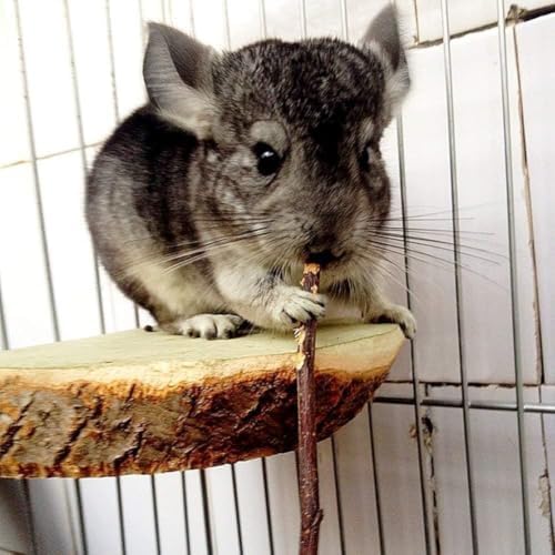 William Craft 1000g Apple Sticks Small Animals Molar Wood Toys for Rabbits Chinchillas Guinea Pig Hamster Gerbil Parrot Bunny and Small Animals Chew Stick Treats (2.2pound)