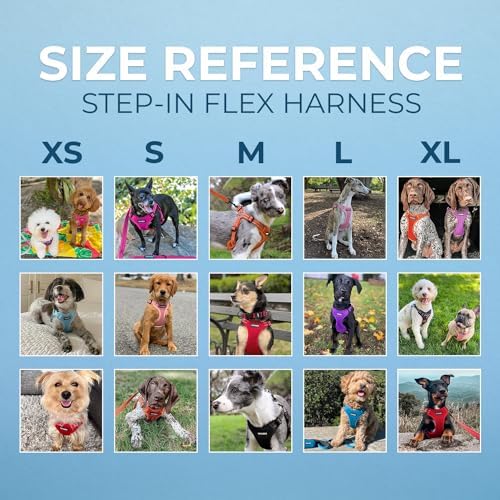 Voyager Step-in Flex Adjustable Dog Harness - Black, Large