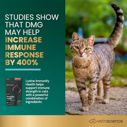 VetriScience Lysine Immunity Health Chews, Chicken, 120 Count