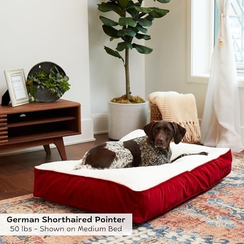 Buster Deluxe Reversible Pillow Style Sherpa Dog Bed, Red, Medium (42 x 30 in.)
