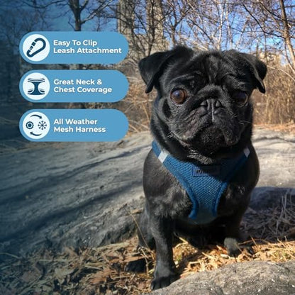 Best Pet Supplies Voyager Step-in Air All Weather Mesh Harness and Reflective Dog 5ft Leash Combo with Neoprene Handle, for Small, Medium and Large Breed Puppies - Blue, X-Lrage