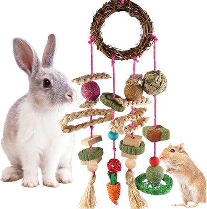 YIXUND Rabbit & Guinea Pig Toys - Hamster & Bunny Toys - Natural Timothy Hay & Apple Wood Sticks - Chinchilla Teeth Care - Handmade Dream Catcher