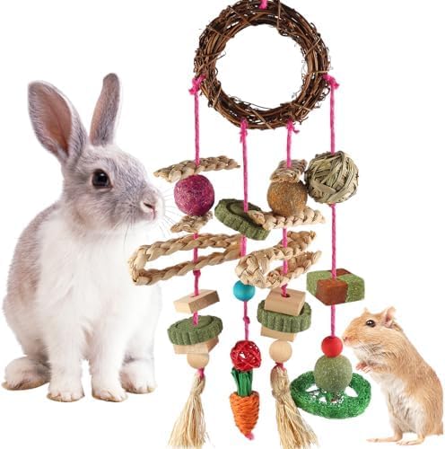 YIXUND Rabbit & Guinea Pig Toys - Hamster & Bunny Toys - Natural Timothy Hay & Apple Wood Sticks - Chinchilla Teeth Care - Handmade Dream Catcher
