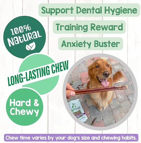 Nature Gnaws Large Bully Sticks 6" Rawhide Free Dog Chews, 10 Count