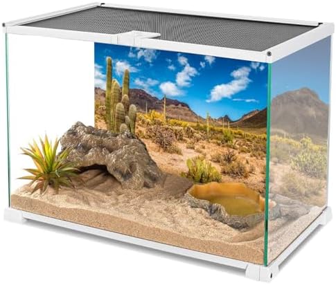 30x12 in Reptile Habitat Background Blue Sky Cactus Desert Tank Backdrop