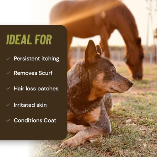 Antifungal Shampoo for Horse Antibacterial Formula Clinical Care Antiseptic