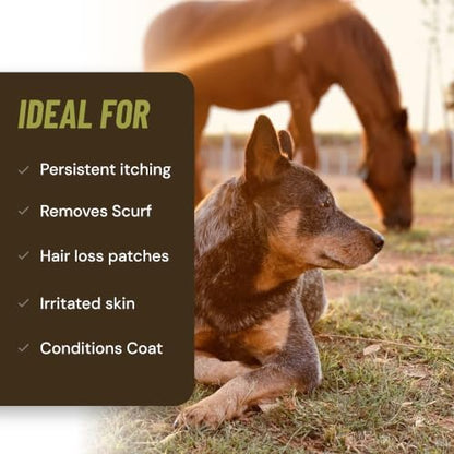 Antifungal Shampoo for Horse Antibacterial Formula Clinical Care Antiseptic