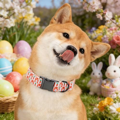 Easter Dog Collar, Orange Carrot Rabbit Print Pet Collars Cute Durable Metal Buckle Girl and Boy Dog Collars Adjustable for Small Medium Large Dogs