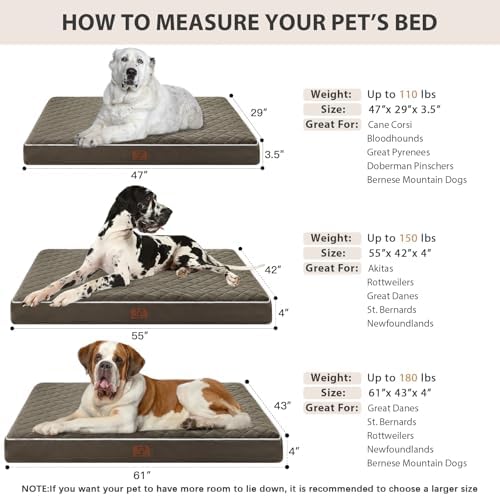 WNPETHOME Orthopedic Giant Human Dog Beds for Adult & Dog Cozy Sleep