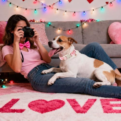 DOGWONG Valentine's Day Dog Collar-Cute Pink Bow Heart Pattern Dog Collars, Adjustable Valentine Heart Pet Collars Puppy Collar with Quick Release Buckle for Girl&Boy Dogs,L
