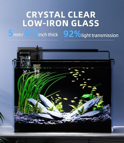5 Gallon Fish Tank Starter Kit with Heater Filter Light Glass Rimless