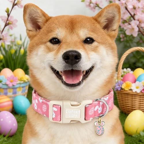 Lionheart glory Easter Day Dog Collar - Dog Collars Soft Adjustable Buckle Cute Easter Rabbits Pattern Pink Male Female Spring Bunnies Pet Collars for Medium Dogs Puppy
