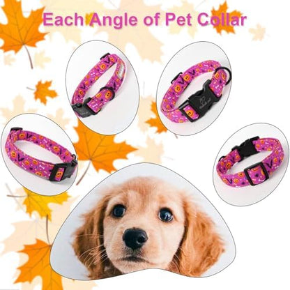 Halloween Dog Collar, Purple Pumpkin Bat Print Puppy Collar S