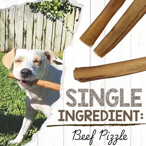 Nature Gnaws Extra Thin Bully Sticks 5-6" Rawhide Free Dog Chews, 10 Count