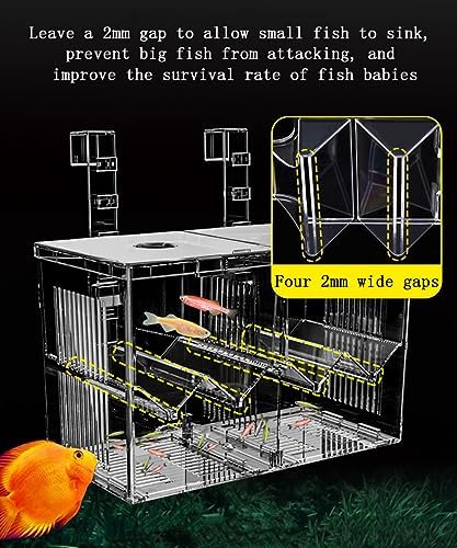 Aquarium Breeder Box, Isolation Hatchery for Small Fish Fry Hatchery