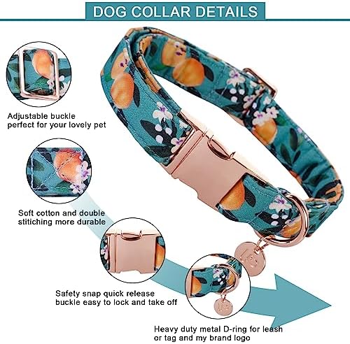 Peach Summer Cotton Dog Collar with Metal Buckle Gift Collar for Small Medium Large Girls or Boys Dogs Cute Durable Comfortable Pet Collars