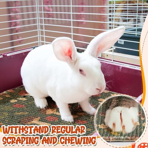 Drydiet 2 Pcs 16 x 12 in Rabbit Mat Scratch Pad Bunny Chew Toy Cage Bedding