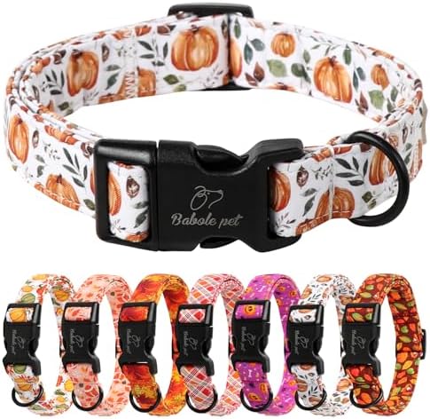 Fall Dog Collar, Cute Orange Pumpkin Pattern Puppy Collar S