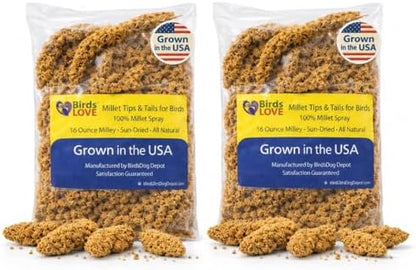 Birds LOVE® 1lb Millet Tips & Tails for Birds – Premium Spray Millet Treat, USA Grown – Natural & Healthy Bird Food for Parakeets, Cockatiels, Budgies, Lovebirds, Finches, Canaries & Parrots – 2 Pack