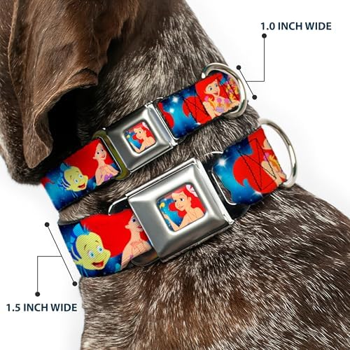Disney Pet Collar, Dog Collar Metal Seatbelt Buckle, The Little Mermaid Under The Sea Scenes, 20 to 31 Inches 1.5 Inch Wide