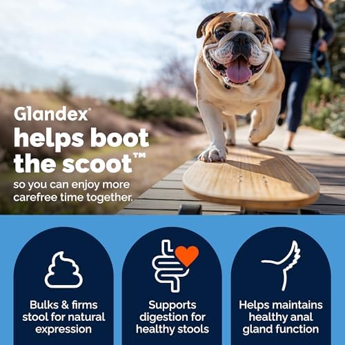 Vetnique Glandex for Dogs Anal Gland Chews 120ct Pumpkin, Digestive Enzymes