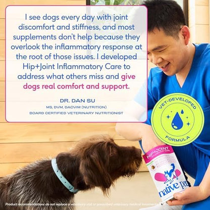 Native Pet Inflammatory Care - Pain Relief for Dogs - Green-Lipped Mussel, Turmeric & Collagen for Dogs - Hip and Joint Supplement Supports Healthy Inflammatory Response & Joint Comfort - 120 Chews