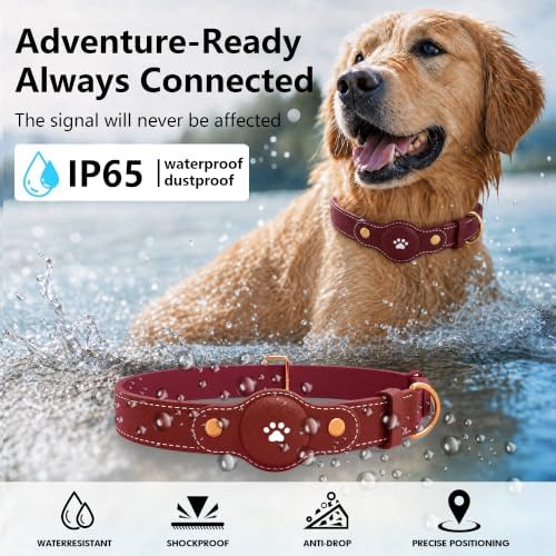 GPS Tracker for Dogs – Smart Dog Collar & Pet Tracker with Real-Time Location, No Monthly Fee, Unlimited Range (iOS & Android) – Fits Small to Large Dogs(Locator Included) BK
