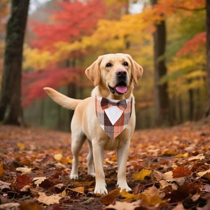 ADOGGYGO Fall Dog Tuxedo Bandana, Plaid Thanksgiving Dog Bow Tie Collar, L